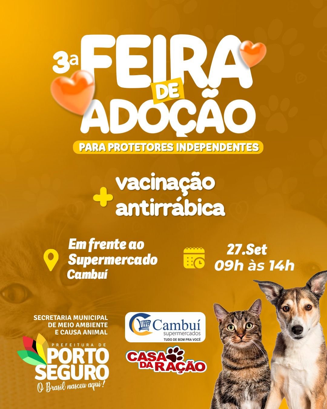 Porto Seguro realiza 3° feira de doação de Cães e Gatos com vacinação gratuita