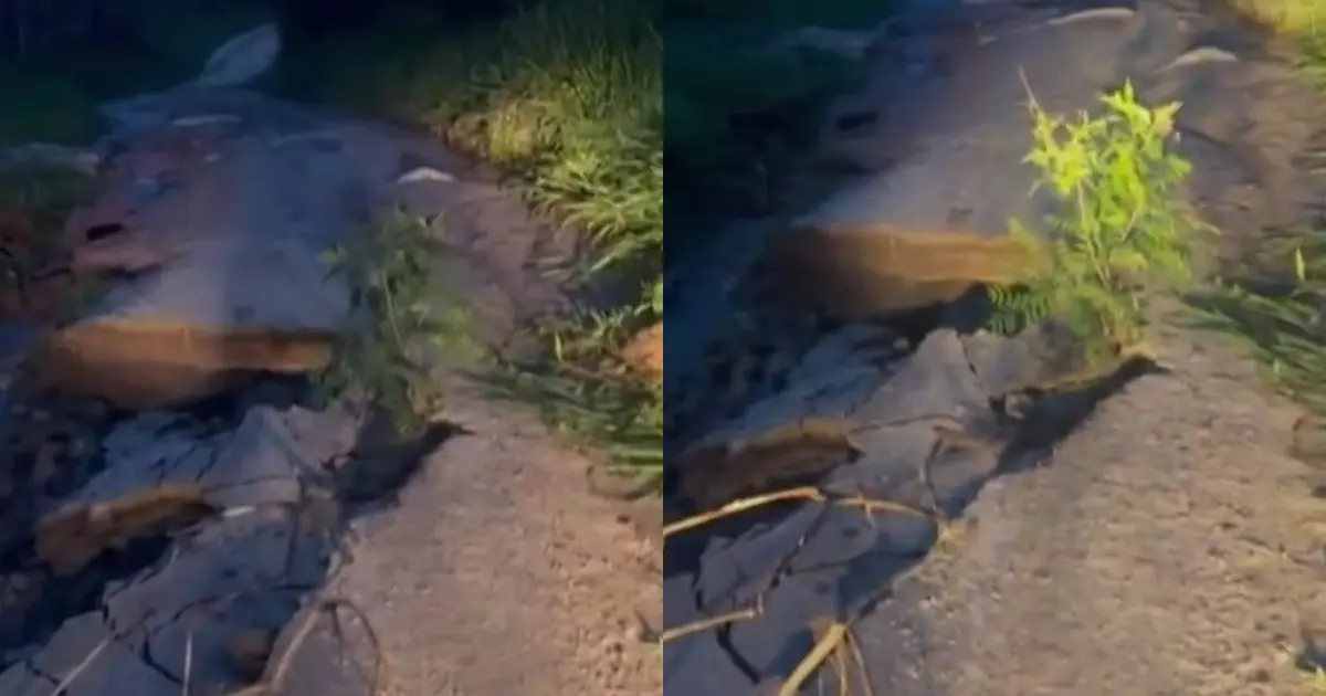 Trecho da BA-283 é parcialmente interditado devido a estrago da chuva no extremo sul da Bahia