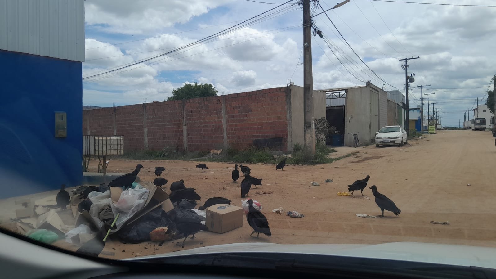 Eunápolis Entre o Lixo e a Crise: Denúncias de Abandono, Urubus nas Ruas e Atraso de Salários Acendem Alerta Vermelho na Gestão Municipal