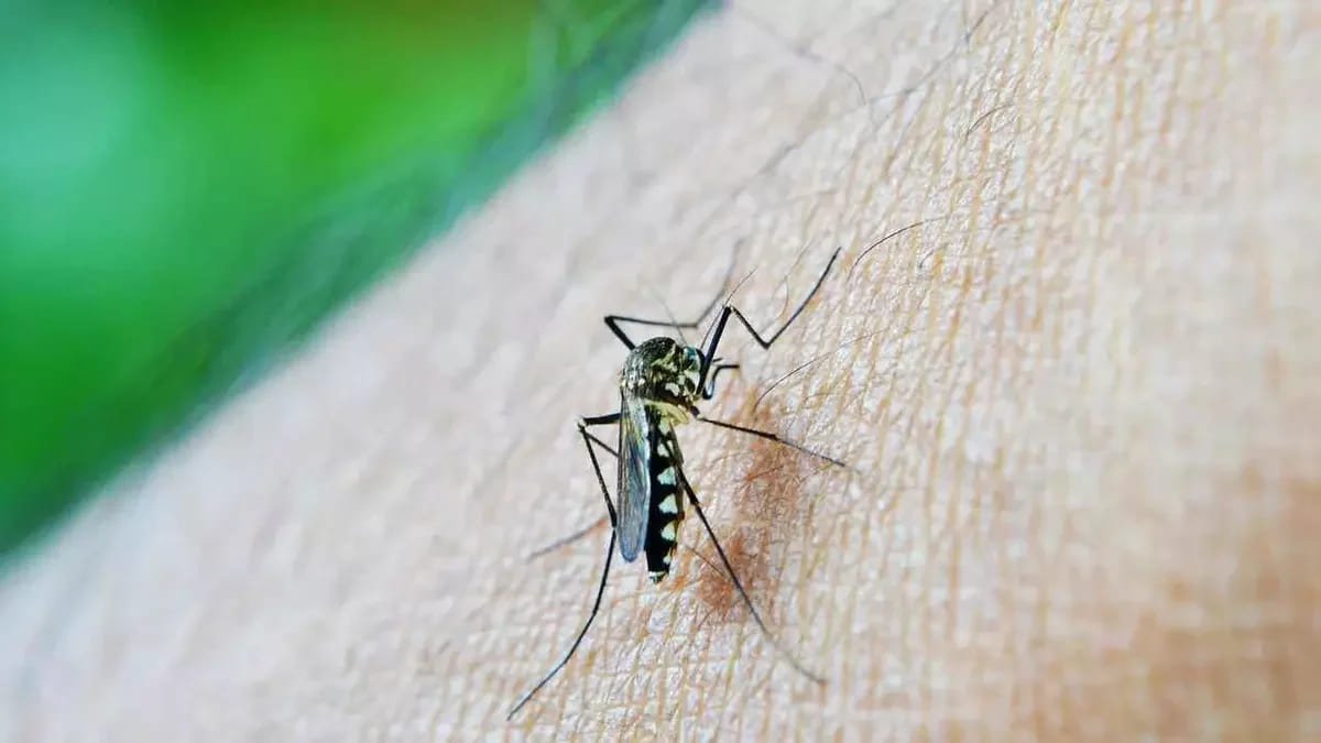 Brasil aprova primeira vacina de dose única contra a dengue