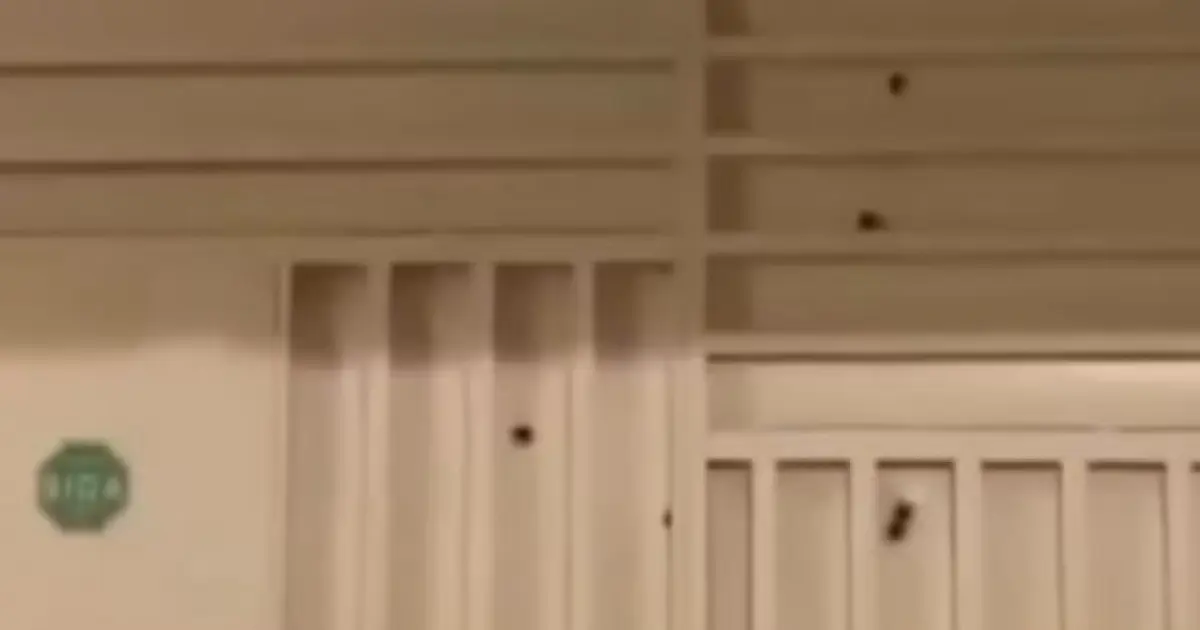 Casa de subtenente da PM é atingida por tiros no interior da Bahia