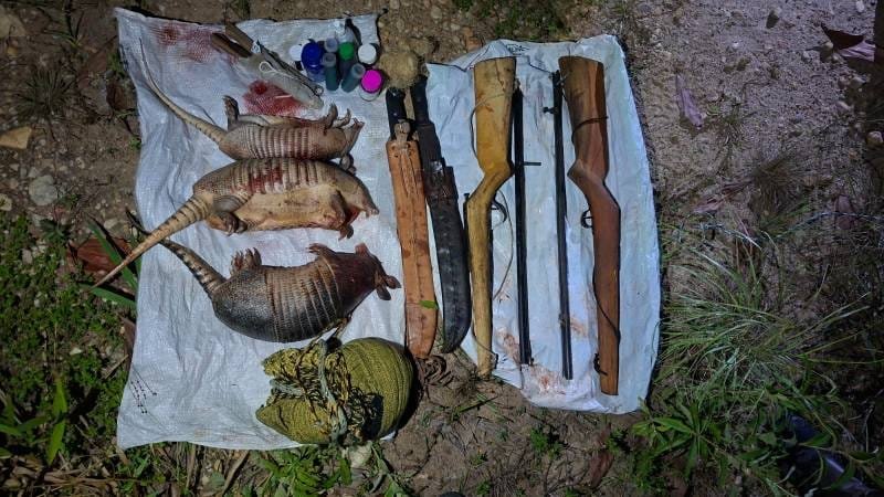 Polícia Militar atua no combate ao crime ambiental na cidade de Itagimirim