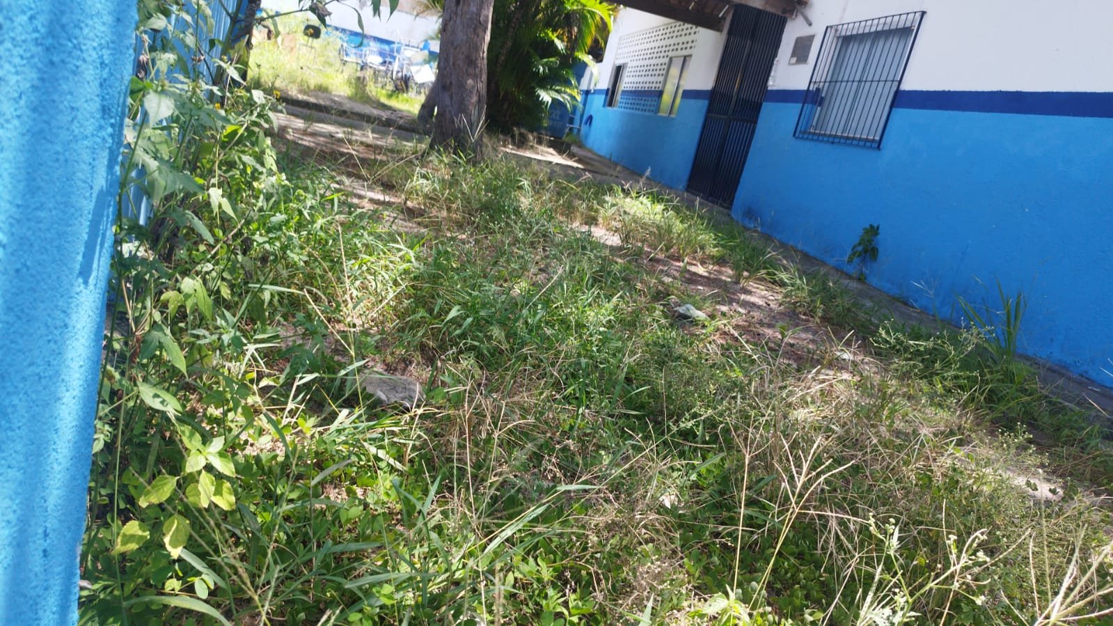 Educação em colapso em Eunápolis