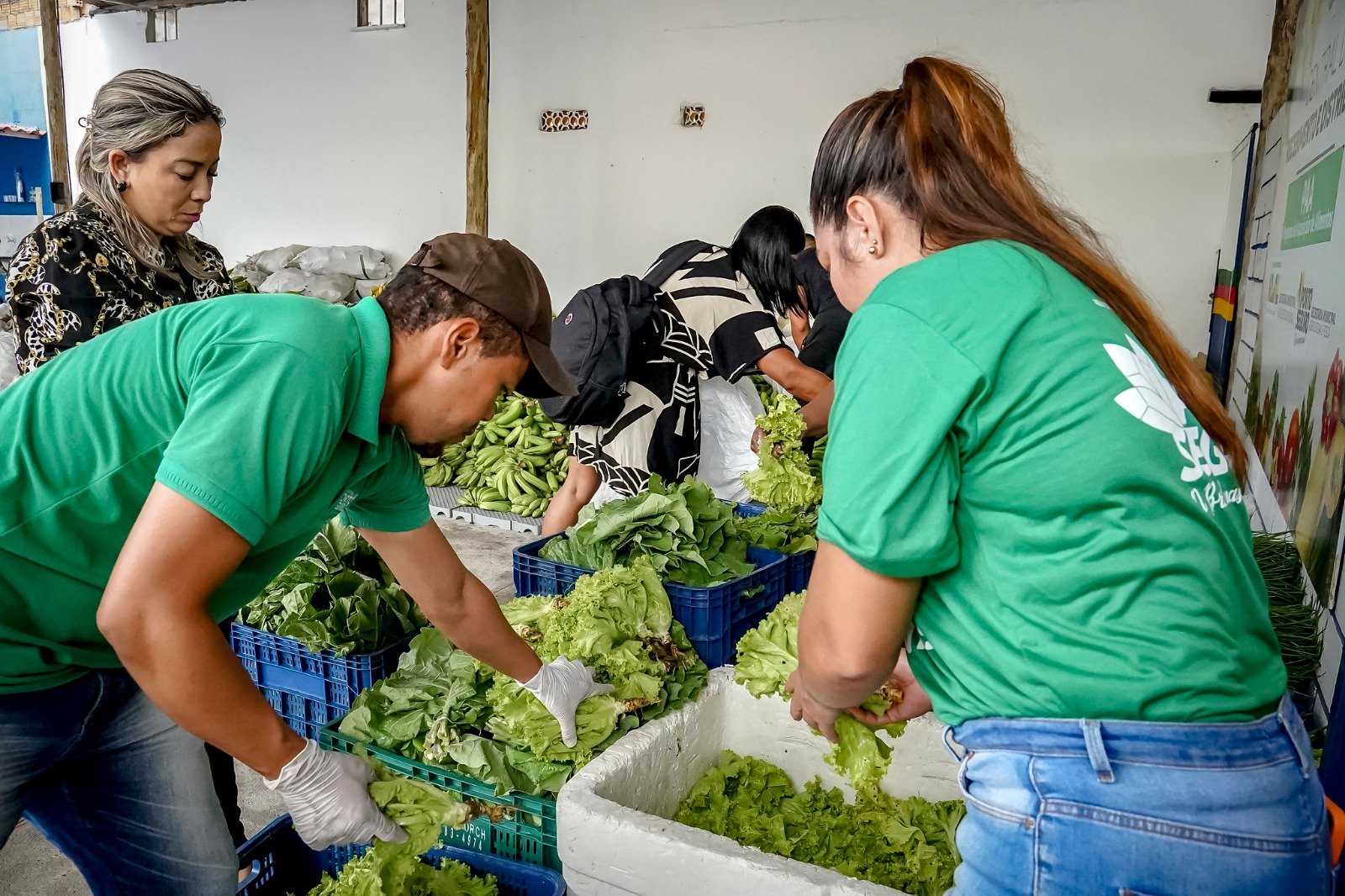 PPA Municipal fortalece agricultura familiar