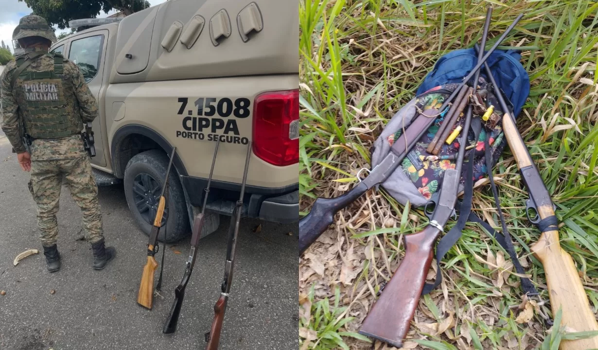 CIPPA apreende armas de fogo em área de mata em Eunápolis