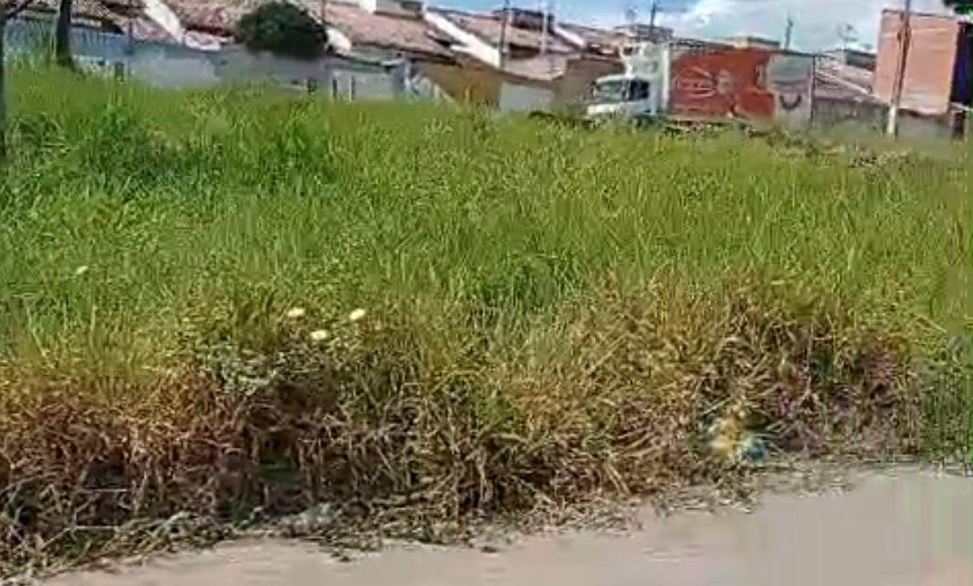 Inaceitável: Eunápolis afunda no lixo e no mato enquanto população é ignorada