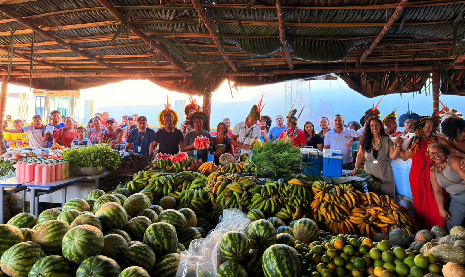 Programa de Aquisição de Alimentos indígenas é retomado em Porto Seguro e fortalece comunidade Pataxó