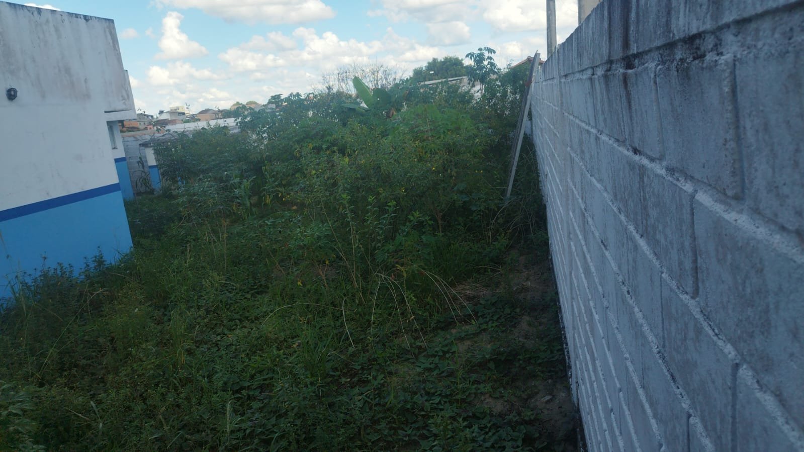 Escárnio público: pacientes denunciam falta de dipirona e cobram abastecimento dos postos de saúde de Eunápolis