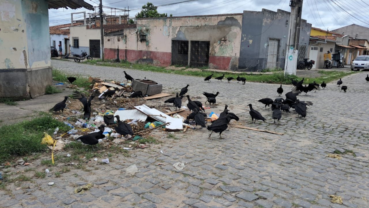 BAIRRO DO PEQUI VIRA RETRATO DO DESCASO EM EUNÁPOLIS: LIXO, ENTULHOS E URUBUS TOMAM CONTAS DAS RUAS