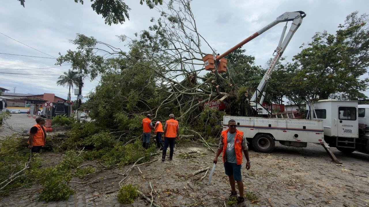 Prefeitura mobiliza equipes para atender ocorrências provocadas pelas chuvas em Porto Seguro